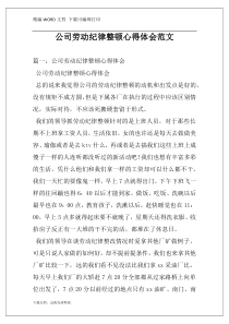 公司劳动纪律整顿心得体会范文