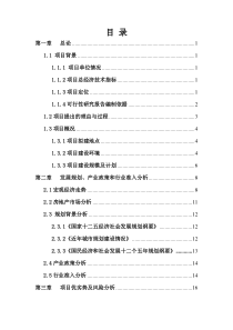 项目申请报告(1)