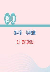 2020春八年级物理下册 6.1 怎样认识力课件 （新版）粤教沪版