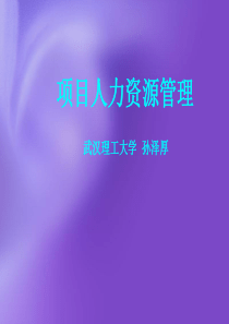 项目的人力资源管理