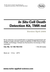 In-Situ-Cell-Death-Detection-Kit--TMR-red