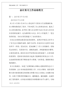 会计实习工作总结范文