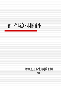 做一个与众不同的企业：湖北汇金地产战略思想和架构流程报告