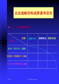 企业战略的构成要素和层次