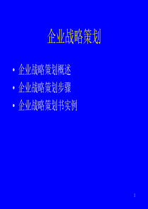 企业战略策划（PPT46页)