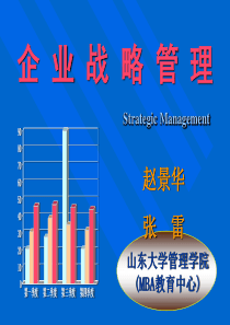 企业战略管理(5)