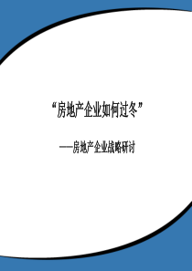 北京龙湖房地产项目企业执行战略研讨报告_99页