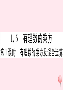 2019秋七年级数学上册 第1章 有理数1.6 有理数的乘方第1课时 有理数的乘方及混合运算习题课件