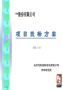 某公司项目投标方案（PPT41页）