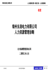 北大纵横—北京世博伟业房地产0806一阶段人力资源诊断报告