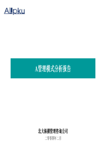 北大纵横—北京世博伟业房地产A管理模式分析报告