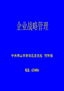 企业战略管理-何伟强