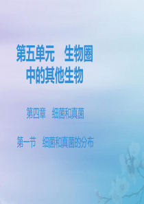 2019秋八年级生物上册 第五单元 生物圈中的其他生物 第四章 细菌和真菌 第一节 细菌和真菌的分布