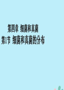 2019秋八年级生物上册 第五单元 生物圈中的其他生物 第四章 细菌和真菌 第一节 细菌和真菌的分布