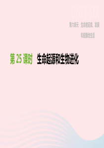 2019年中考生物 专题复习六 生命的延续 发展和健康地生活 第25课时 生命起源和生物进化课件 新