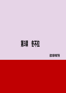 2019年春五年级语文下册 第一单元 3 冬不拉教学课件 语文S版