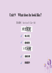 2019年春七年级英语下册 Unit 9 What does he look like（第4课时）S