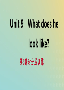 2019年春七年级英语下册 Unit 9 What does he look like（第3课时）分