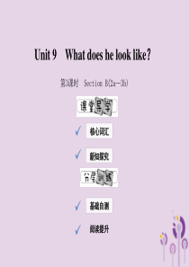 2019年春七年级英语下册 Unit 9 What does he look like（第3课时）S