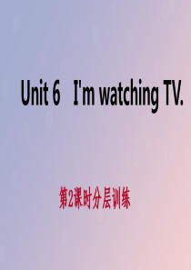 2019年春七年级英语下册 Unit 6 I’m watching TV（第2课时）分层训练课件 （