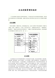 企业战略管理和组织