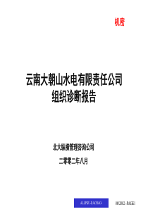 北大纵横—北京世博伟业房地产组织诊断报告（大朝山）