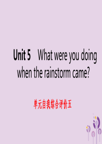 2019年春八年级英语下册 Unit 5 What were you doing when the 