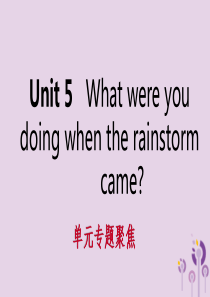 2019年春八年级英语下册 Unit 5 What were you doing when the 