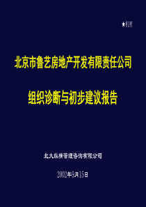 北大纵横—北京鲁艺房地产组织诊断与初步建议报告0920N