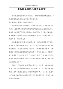 暑假社会实践心得体会范文