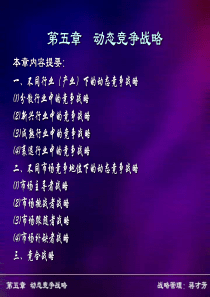 企业战略管理第五章