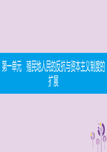 2019春九年级历史下册 第一单元 殖民地人民的反抗与资本主义制度的扩展 第2课 俄国的改革课件 新