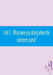 2019春八年级英语下册 Unit 5 What were you doing when the r