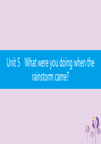 2019春八年级英语下册 Unit 5 What were you doing when the r