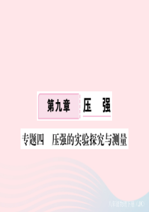 2019春八年级物理下册 专题四 压强的实验探究与测量习题课件 （新版）教科版