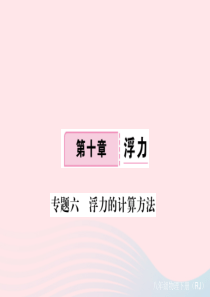 2019八年级物理下册 专题六 浮力的计算方法习题课件 （新版）新人教版