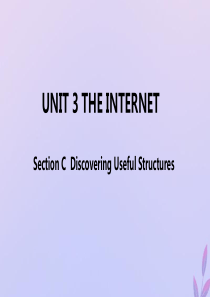 2019-2020学年新教材高中英语 Unit 3 THE INTERNET Section C D