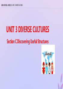 2019-2020学年新教材高中英语 UNIT 3 DIVERSE CULTURES Section