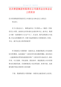 在共青团集团有限责任公司委员会全体会议上的发言