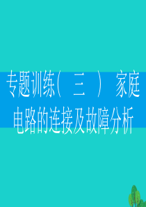 2019-2020学年九年级物理下册 专题训练(三) 家庭电路的连接及故障分析课件（新版）粤教沪版