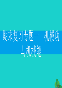 2019-2020学年九年级物理下册 期末复习专题一 机械功与机械能课件（新版）粤教沪版