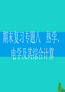 2019-2020学年九年级物理下册 期末复习专题八 热学、电学及其综合计算课件（新版）粤教沪版