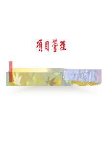 项目管理_4_项目范围管理