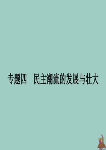 2019-2020学年高中历史 专题四 民主潮流的发展与壮大 一 欧美民主政治的扩大课件 人民版选修