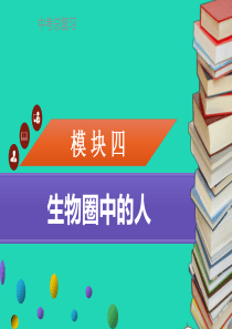 中考生物 模块4 生物圈中的人综合检测复习课件2