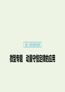 2019-2020学年高考物理 主题1 动量与动量守恒定律 微型专题 动量守恒定律的应用课件（必修1