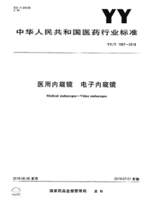 YY∕T 1587-2018 医用内窥镜 电子内窥镜