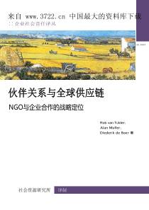 企业社会责任译丛--NGO与企业合作的战略定位（PDF 113页）