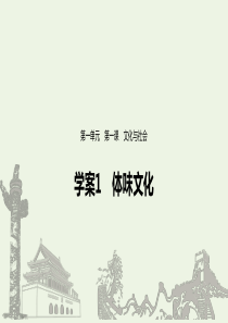 （浙江新高考）2019-2020学年高中政治 第一单元 文化与生活 第一课 体味文化课件1 新人教版