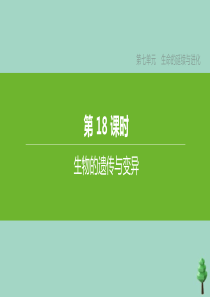 （徐州专版）2020中考生物复习方案 第七单元 生命的延续与进化 第18课时 生物的遗传与变异课件